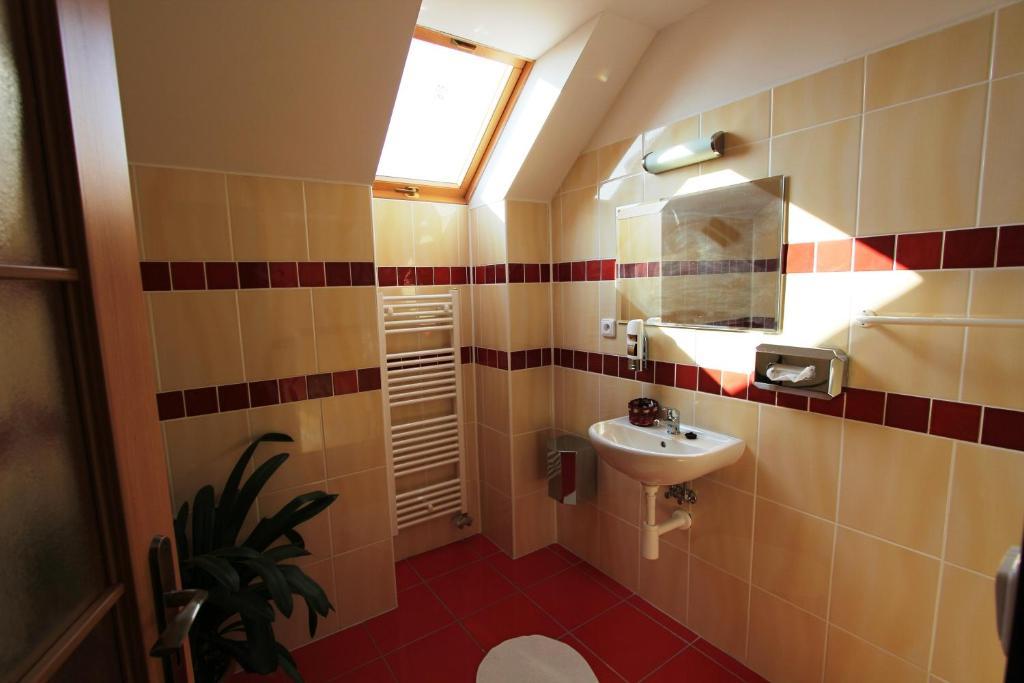 Pension U Svateho Jana Hradec Králové 部屋 写真
