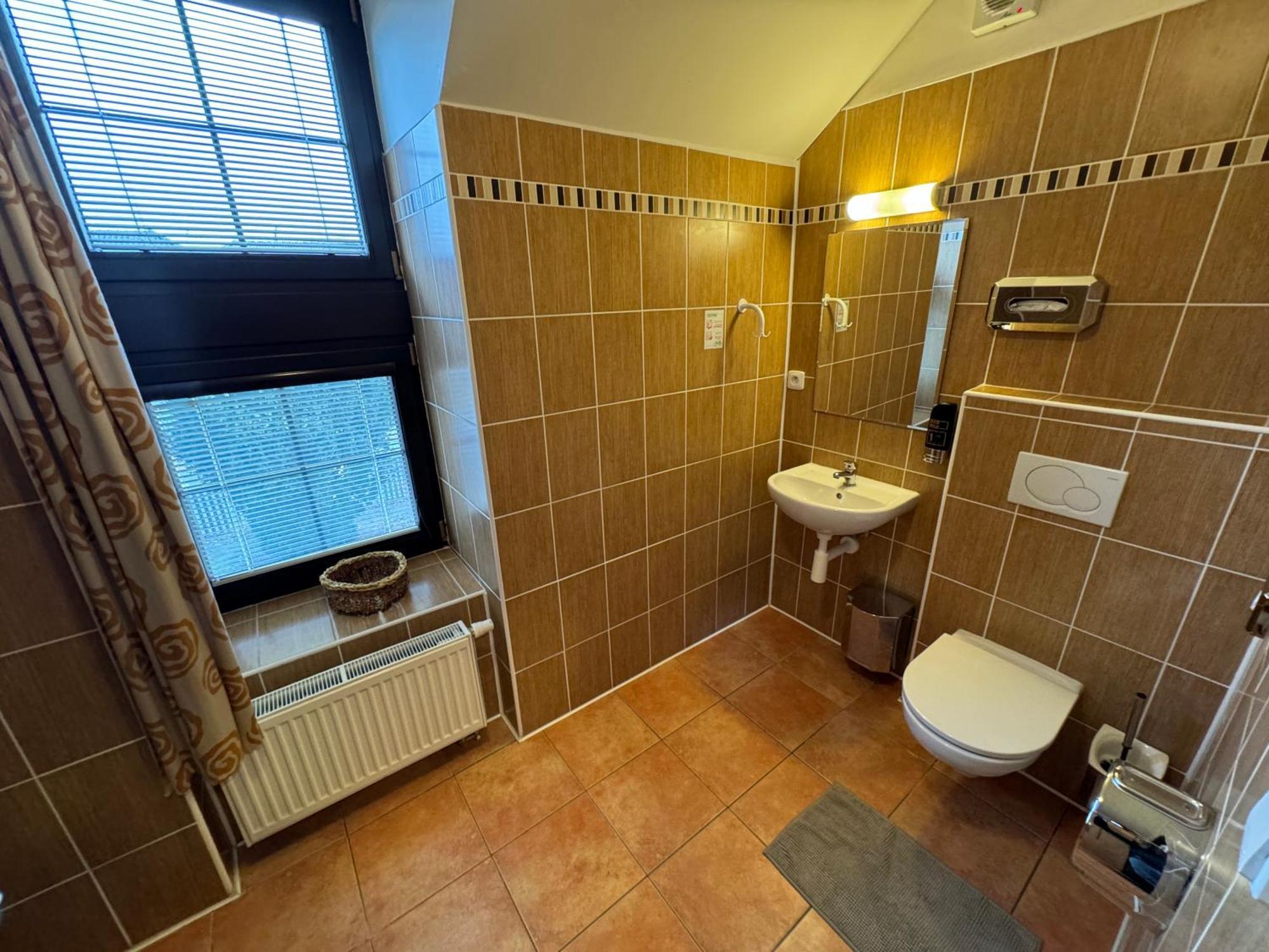 Pension U Svateho Jana Hradec Králové 部屋 写真