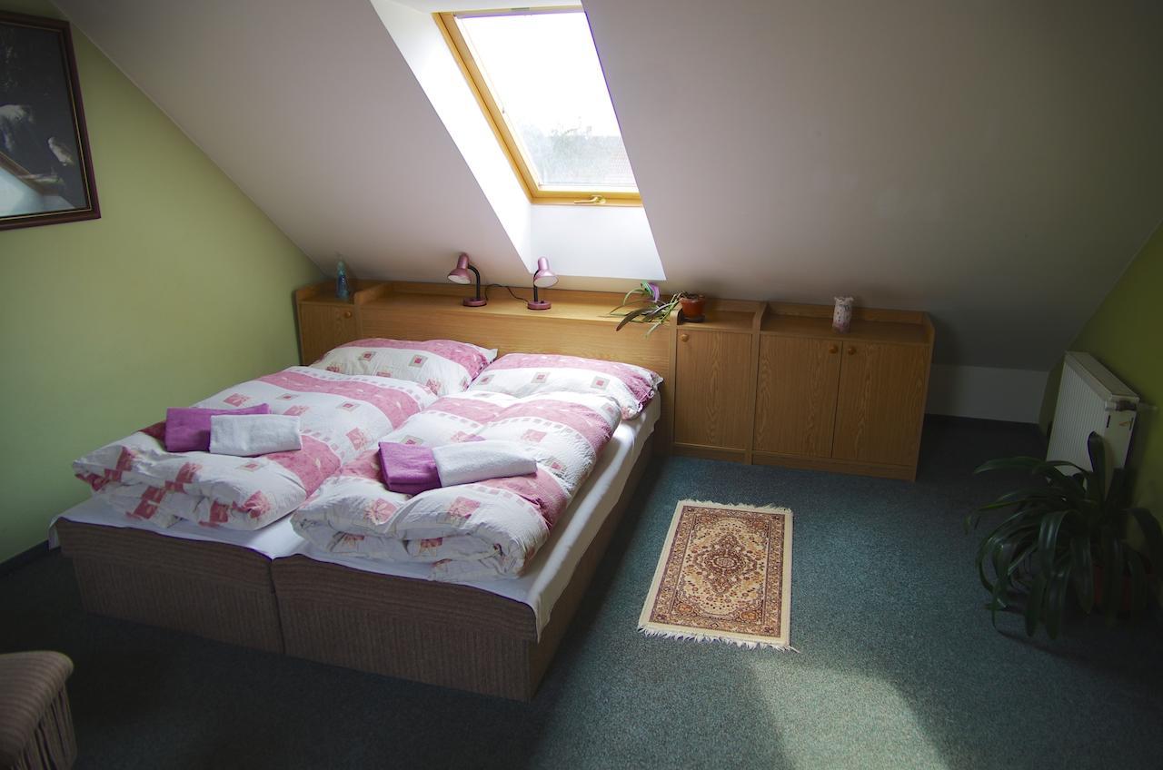 Pension U Svateho Jana Hradec Králové 部屋 写真